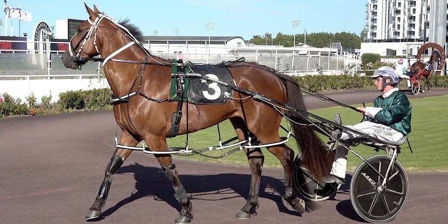 Well built Sammy Lincoln is very fast but just needs to get round safely for Harrison Orange.