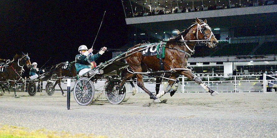 Leo Lincoln thumps a strong Metro Final field at Auckland, pacing under 2:40 for the 2200m. PHOTO: Megan Liefting/Race Images.
