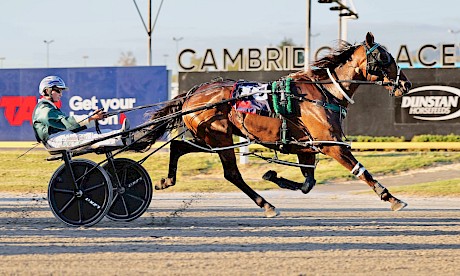 It’s easy work for The Night Fox and Harrison Orange at Cambridge. PHOTO: Ange Bridson/Race Images.