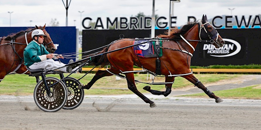 Lincoln Linda in cruise control, winning at Cambridge in February. PHOTO: Ange Bridson/Race Images.