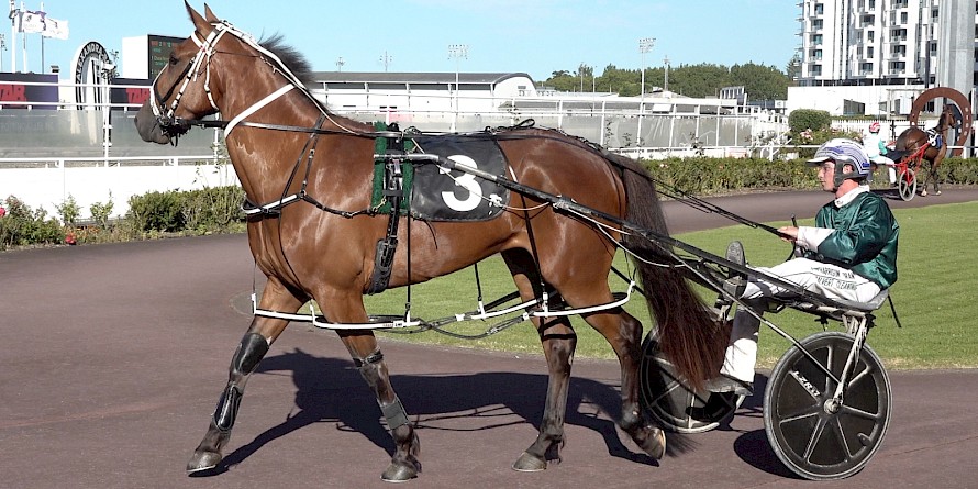 Sammy Lincoln has yet to win a race but could he trail Jumal and get some of the $200,000 derby stake?