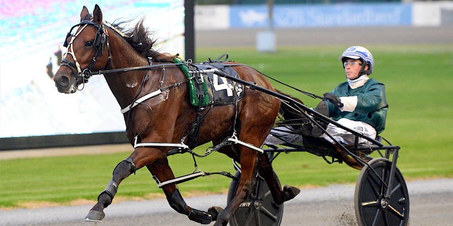 Prince Lincoln and Harrison Orange are well clear and flying on Friday night. PHOTO: Therese Davis/Race Images.