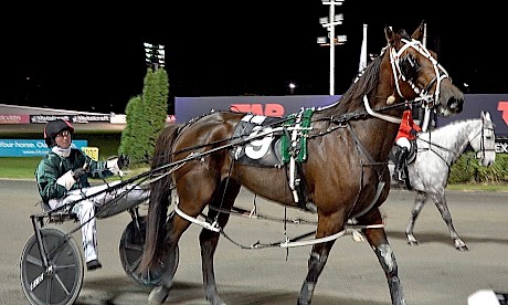 Harrison Orange brings Sammy Lincoln back after his powerhouse win last week.
