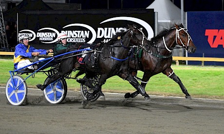 Lincoln Wave’s last run over the Cambridge 1700m - a 1:53.3 win over Cyclone Rebel. PHOTO: Megan Liefting/Race Images.