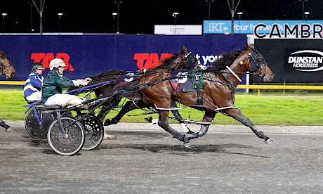 Lincoln Wave scores win number 3444 for Maurice McKendry . PHOTO: Ange Bridson/Race Images.