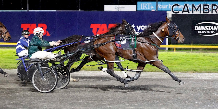 Lincoln Wave scores win number 3444 for Maurice McKendry . PHOTO: Ange Bridson/Race Images.