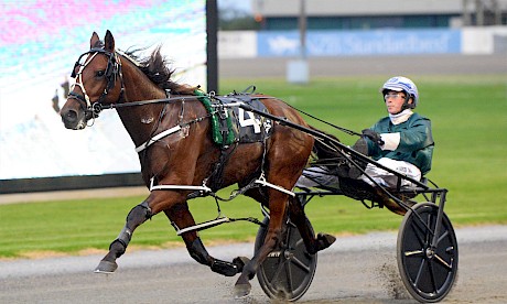 Prince Lincoln out on his own at Auckland. PHOTO: Therese Davis/Race Images.