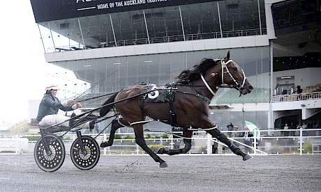 Lincoln Wave looks set for a fruitful campaign. PHOTO: Megan Liefting/Race Images.
