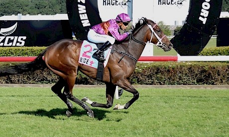 Platinum Attack and Bruno Queiroz in full flight. PHOTO: Peter Rubery/Race Images.
