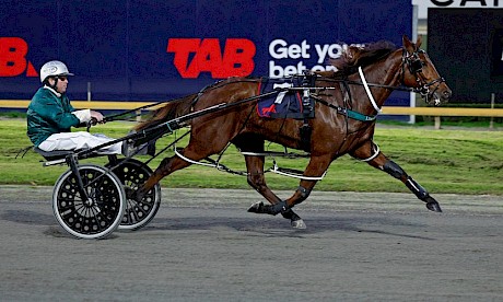 Prince Lincoln in his latest seven-and-a-half length romp at Cambridge. PHOTO: Ange Bridson/Race Images.