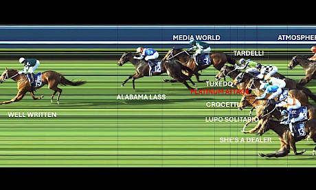 Platinum Attack in a throng of chasers spread across the track in the Proisir Plate at Ellerslie.