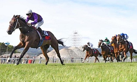 Platinum Attack is well placed to score his first win racing right-handed on Saturday. PHOTO: Peter Rubery/Race Images.
