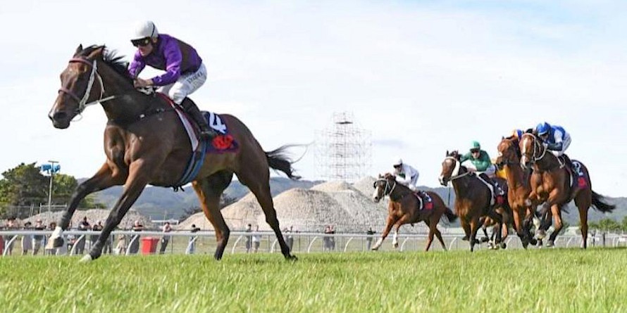Platinum Attack is well placed to score his first win racing right-handed on Saturday. PHOTO: Peter Rubery/Race Images.