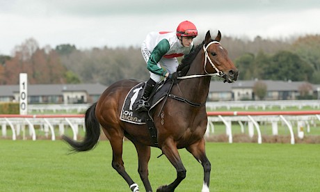 Jack Taplin, who had his first ride on Mercurial last Saturday, teams with Billy Lincoln. PHOTO: Trish Dunell.