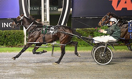 Johnny Lincoln is untested to win at Auckland on Friday night. PHOTO: Megan Liefting/Race Images.
